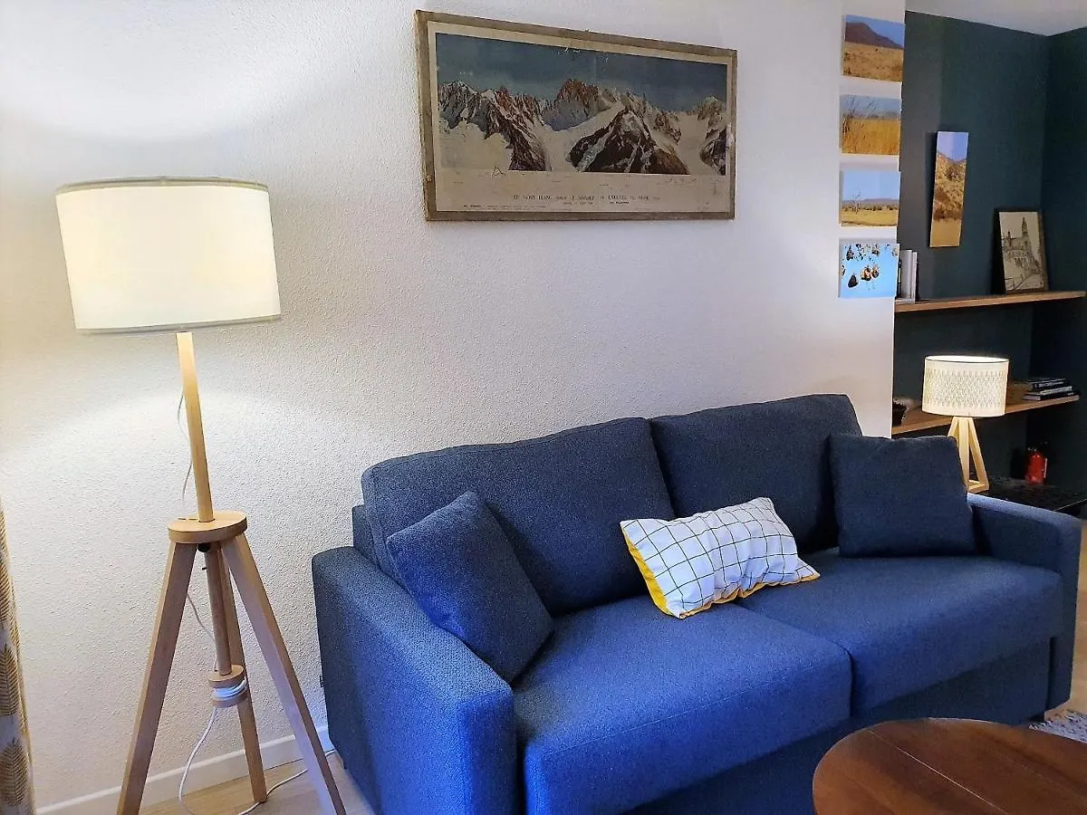 Chamonix Appartement Vue Mont Blanc Avec Jardin צרפת