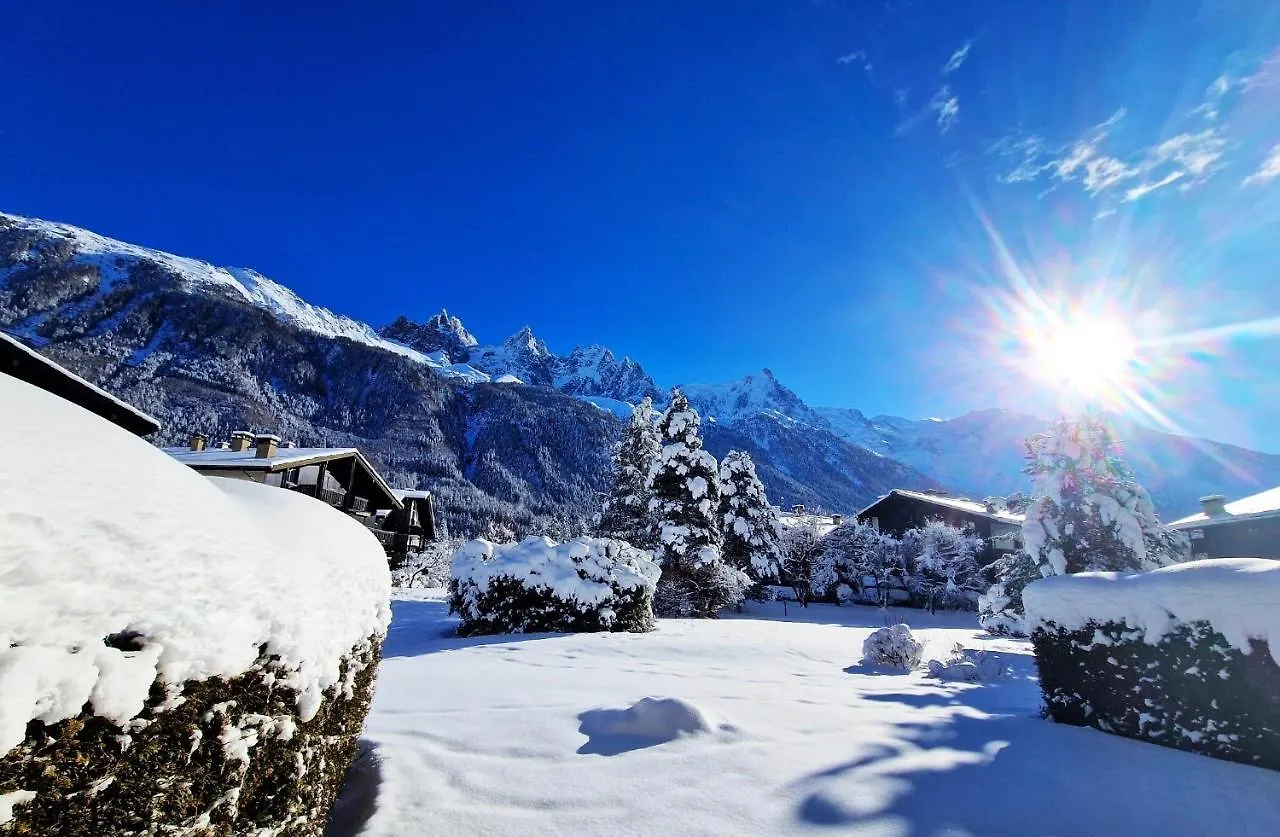 Chamonix Appartement Vue Mont Blanc Avec Jardin צרפת